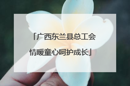 广西东兰县总工会情暖童心呵护成长