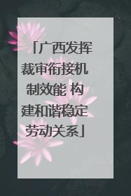 广西发挥裁审衔接机制效能 构建和谐稳定劳动关系