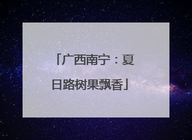 广西南宁：夏日路树果飘香