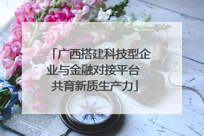 广西搭建科技型企业与金融对接平台 共育新质生产力