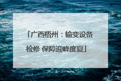 广西梧州：输变设备检修 保障迎峰度夏