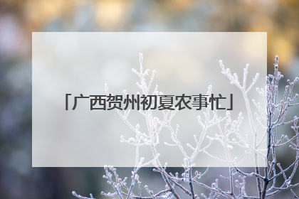 广西贺州初夏农事忙