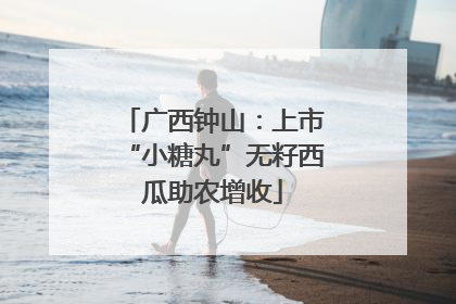 广西钟山：上市“小糖丸”无籽西瓜助农增收