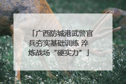广西防城港武警官兵夯实基础训练 淬炼战场“硬实力”