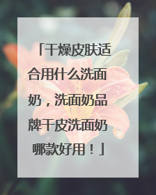干燥皮肤适合用什么洗面奶，洗面奶品牌干皮洗面奶哪款好用！