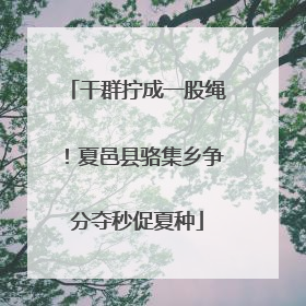 干群拧成一股绳！夏邑县骆集乡争分夺秒促夏种