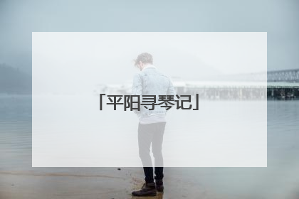 平阳寻琴记
