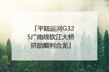 平陆运河G325广南线钦江大桥拱肋顺利合龙