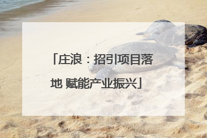 庄浪：招引项目落地 赋能产业振兴