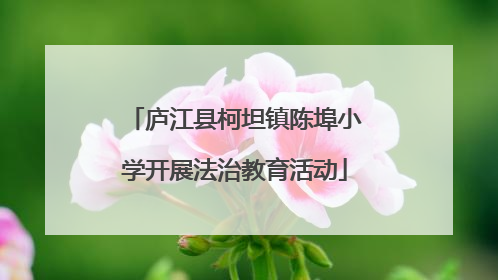 庐江县柯坦镇陈埠小学开展法治教育活动
