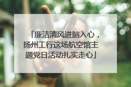 廉洁清风进脑入心，扬州工行这场航空馆主题党日活动扎实走心