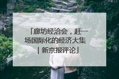 廊坊经洽会，赶一场国际化的经济大集｜新京报评论