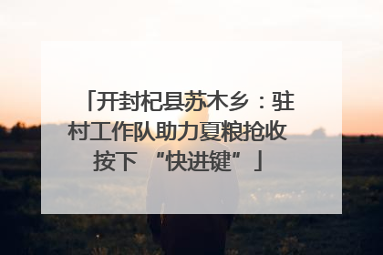开封杞县苏木乡：驻村工作队助力夏粮抢收按下 “快进键”