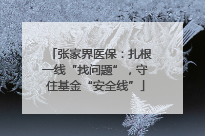 张家界医保：扎根一线“找问题”，守住基金“安全线”