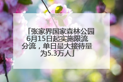 张家界国家森林公园6月15日起实施限流分流，单日最大接待量为5.3万人