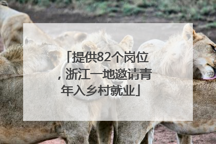 提供82个岗位，浙江一地邀请青年入乡村就业