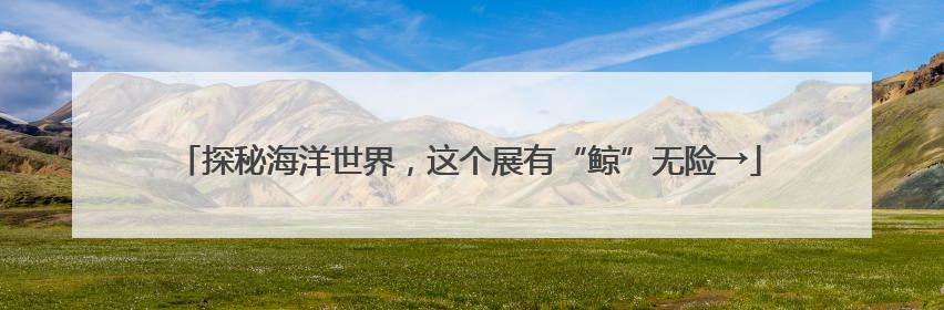 探秘海洋世界，这个展有“鲸”无险→