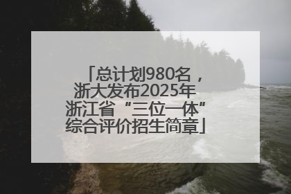 总计划980名，浙大发布2025年浙江省“三位一体”综合评价招生简章