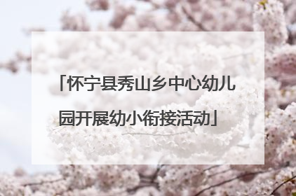 怀宁县秀山乡中心幼儿园开展幼小衔接活动