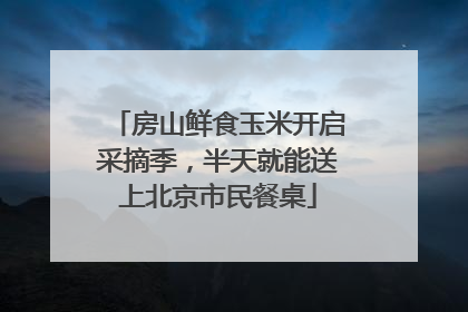 房山鲜食玉米开启采摘季，半天就能送上北京市民餐桌