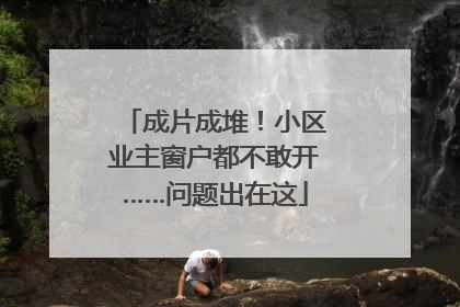 成片成堆！小区业主窗户都不敢开……问题出在这
