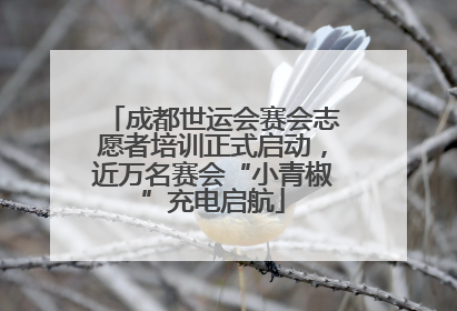 成都世运会赛会志愿者培训正式启动，近万名赛会“小青椒”充电启航