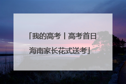 我的高考丨高考首日 海南家长花式送考