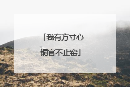我有方寸心 铜官不止窑