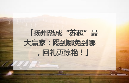 扬州恐成“苏超”最大赢家：踢到哪免到哪，回礼更惊艳！