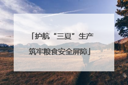 护航“三夏”生产 筑牢粮食安全屏障