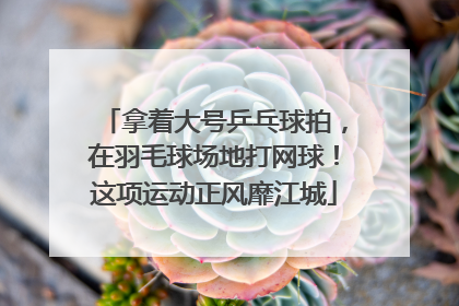 拿着大号乒乓球拍，在羽毛球场地打网球！这项运动正风靡江城