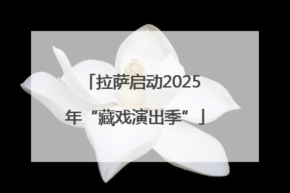 拉萨启动2025年“藏戏演出季”