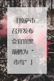 拉萨市召开发布会官宣黑颈鹤为“市鸟”