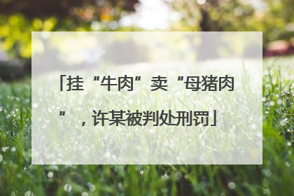 挂“牛肉”卖“母猪肉”，许某被判处刑罚
