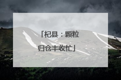 杞县：颗粒归仓丰收忙