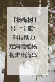 杨梅树上挂“宝瓶” 科技助力定海晚稻杨梅走出海岛
