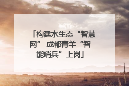 构建水生态“智慧网” 成都青羊“智能哨兵”上岗