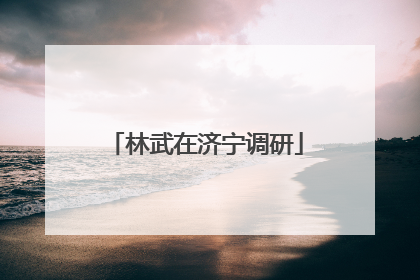 林武在济宁调研