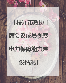 枝江市政协主席会议成员视察电力保障能力建设情况