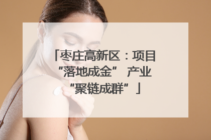 枣庄高新区：项目“落地成金” 产业“聚链成群”