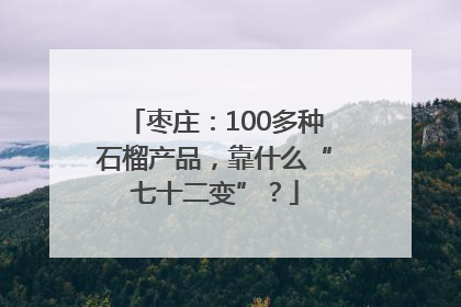 枣庄：100多种石榴产品，靠什么“七十二变”？