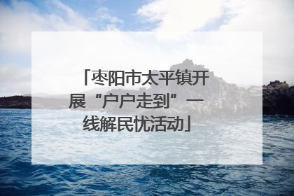 枣阳市太平镇开展“户户走到”一线解民忧活动