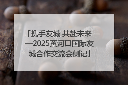 携手友城 共赴未来——2025黄河口国际友城合作交流会侧记
