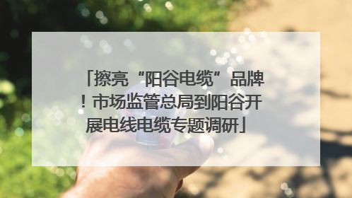 擦亮“阳谷电缆”品牌！市场监管总局到阳谷开展电线电缆专题调研