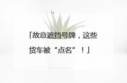 故意遮挡号牌，这些货车被“点名”！
