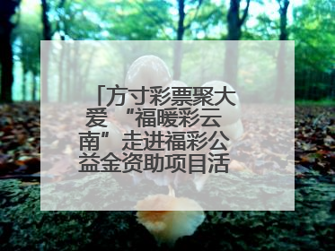 方寸彩票聚大爱 “福暖彩云南”走进福彩公益金资助项目活动在曲靖举行