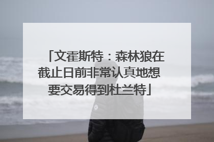 文霍斯特：森林狼在截止日前非常认真地想要交易得到杜兰特