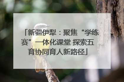 新疆伊犁：聚焦“学练赛”一体化课堂 探索五育协同育人新路径