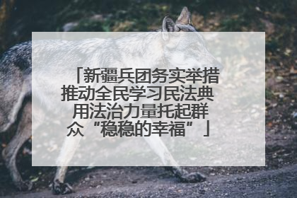 新疆兵团务实举措推动全民学习民法典 用法治力量托起群众“稳稳的幸福”