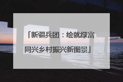 新疆兵团：绘就绿富同兴乡村振兴新图景